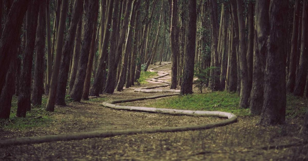 Email Segmentation: 15 Segments That Actually Matter