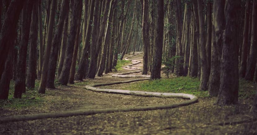 Email Segmentation: 15 Segments That Actually Matter