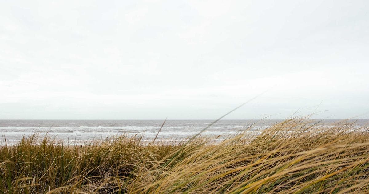 How to Write a Newsletter People Actually Read (Steps + Template)
